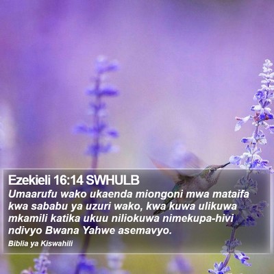 Ezekieli 16:14 SWHULB Bible Verse Image