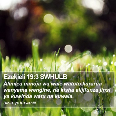 Ezekieli 19:3 SWHULB Bible Verse Image