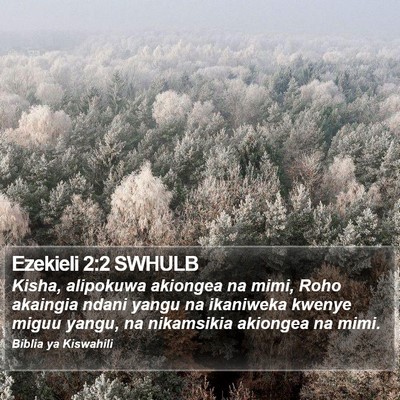 Ezekieli 2:2 SWHULB Bible Verse Image