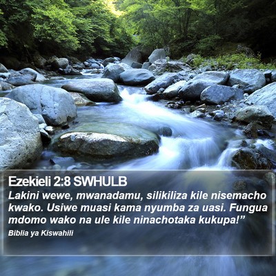 Ezekieli 2:8 SWHULB Bible Verse Image