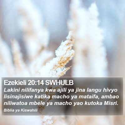 Ezekieli 20:14 SWHULB Bible Verse Image