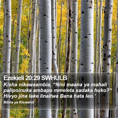 Ezekieli 20:29 SWHULB Bible Verse Image