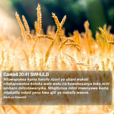Ezekieli 20:41 SWHULB Bible Verse Image