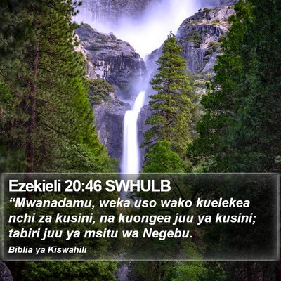 Ezekieli 20:46 SWHULB Bible Verse Image