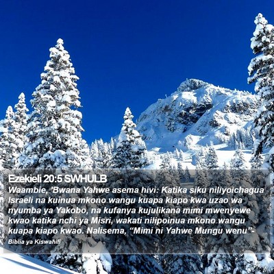 Ezekieli 20:5 SWHULB Bible Verse Image