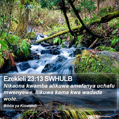 Ezekieli 23:13 SWHULB Bible Verse Image