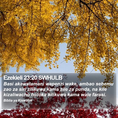 Ezekieli 23:20 SWHULB Bible Verse Image