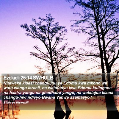 Ezekieli 25:14 SWHULB Bible Verse Image