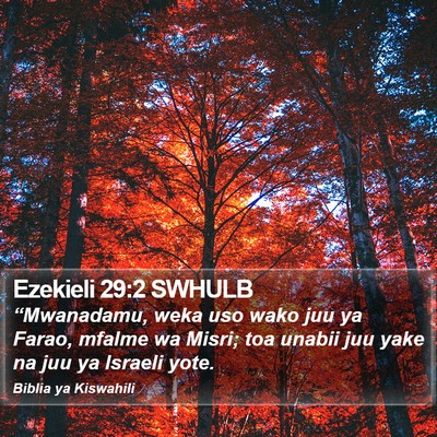 Ezekieli 29:2 SWHULB Bible Verse Image