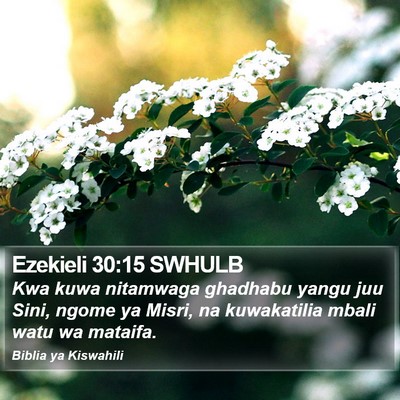 Ezekieli 30:15 SWHULB Bible Verse Image