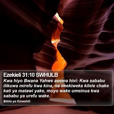 Ezekieli 31:10 SWHULB Bible Verse Image