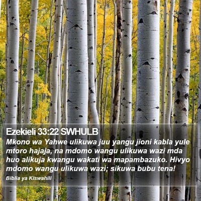 Ezekieli 33:22 SWHULB Bible Verse Image