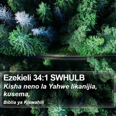 Ezekieli 34:1 SWHULB Bible Verse Image