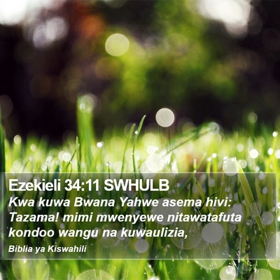 Ezekieli 34:11 SWHULB Bible Verse Image
