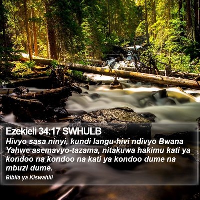 Ezekieli 34:17 SWHULB Bible Verse Image