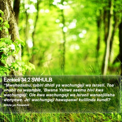 Ezekieli 34:2 SWHULB Bible Verse Image