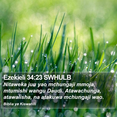 Ezekieli 34:23 SWHULB Bible Verse Image