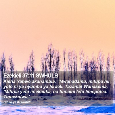 Ezekieli 37:11 SWHULB Bible Verse Image
