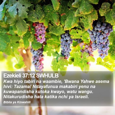 Ezekieli 37:12 SWHULB Bible Verse Image