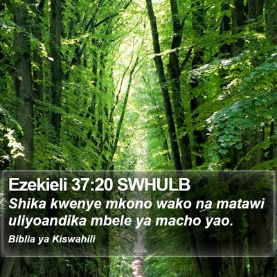 Ezekieli 37:20 SWHULB Bible Verse Image