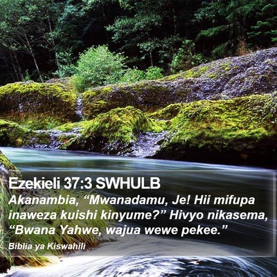 Ezekieli 37:3 SWHULB Bible Verse Image