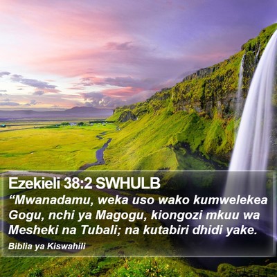 Ezekieli 38:2 SWHULB Bible Verse Image