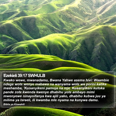Ezekieli 39:17 SWHULB Bible Verse Image