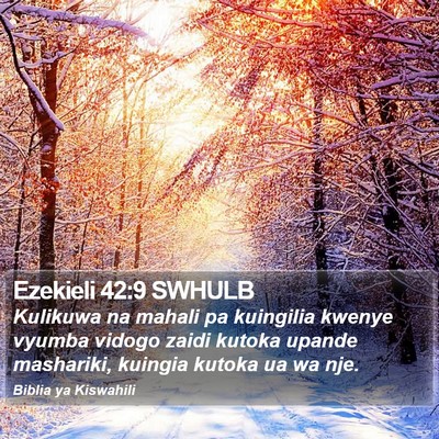 Ezekieli 42:9 SWHULB Bible Verse Image