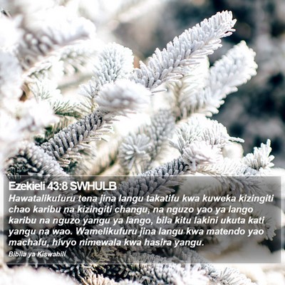 Ezekieli 43:8 SWHULB Bible Verse Image