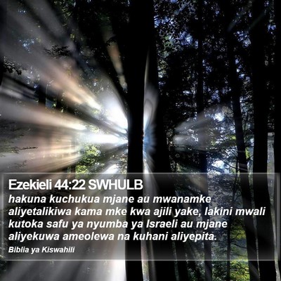 Ezekieli 44:22 SWHULB Bible Verse Image