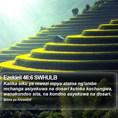 Ezekieli 46:6 SWHULB Bible Verse Image