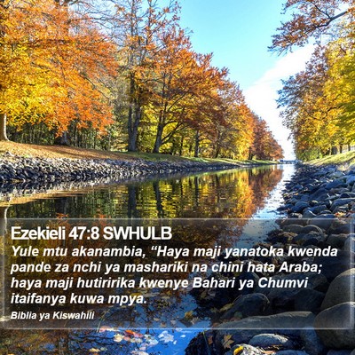 Ezekieli 47:8 SWHULB Bible Verse Image