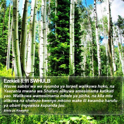 Ezekieli 8:11 SWHULB Bible Verse Image
