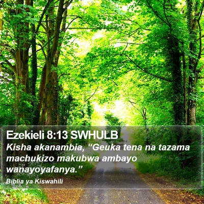 Ezekieli 8:13 SWHULB Bible Verse Image