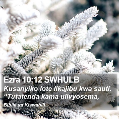 Ezra 10:12 SWHULB Bible Verse Image