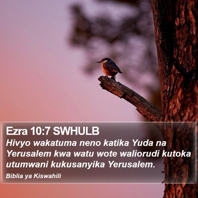 Ezra 10:7 SWHULB Bible Verse Image