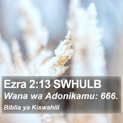 Ezra 2:13 SWHULB Bible Verse Image