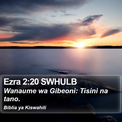 Ezra 2:20 SWHULB Bible Verse Image