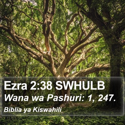 Ezra 2:38 SWHULB Bible Verse Image