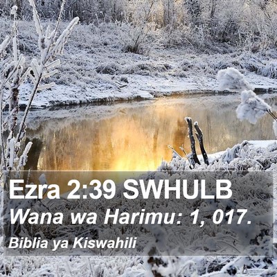 Ezra 2:39 SWHULB Bible Verse Image