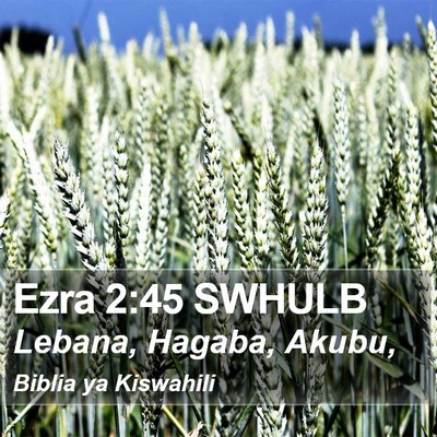 Ezra 2:45 SWHULB Bible Verse Image
