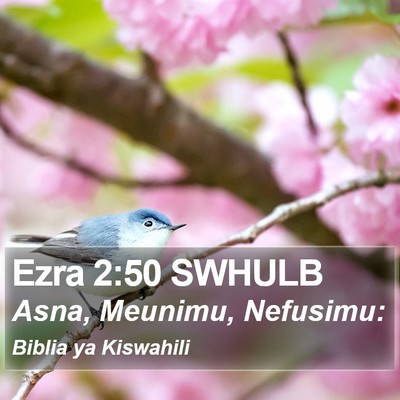 Ezra 2:50 SWHULB Bible Verse Image