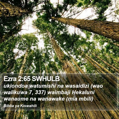 Ezra 2:65 SWHULB Bible Verse Image