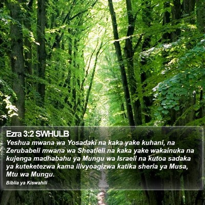 Ezra 3:2 SWHULB Bible Verse Image