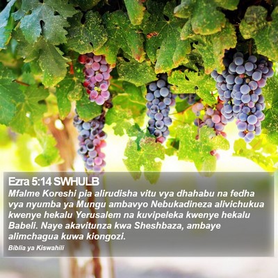 Ezra 5:14 SWHULB Bible Verse Image