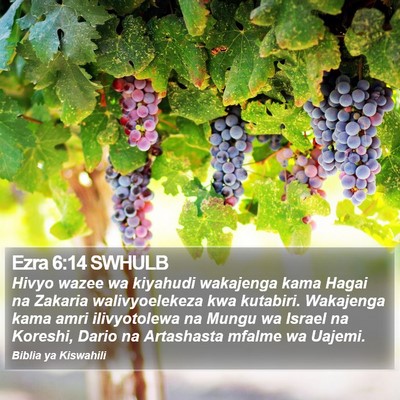 Ezra 6:14 SWHULB Bible Verse Image