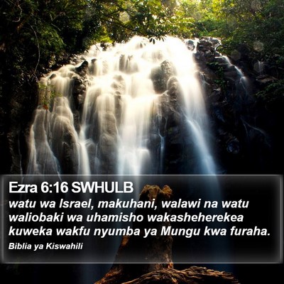 Ezra 6:16 SWHULB Bible Verse Image