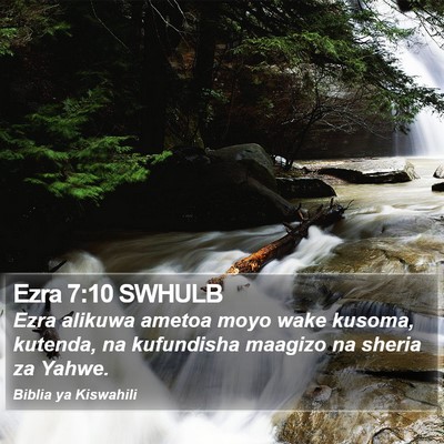 Ezra 7:10 SWHULB Bible Verse Image
