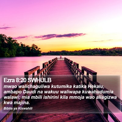 Ezra 8:20 SWHULB Bible Verse Image