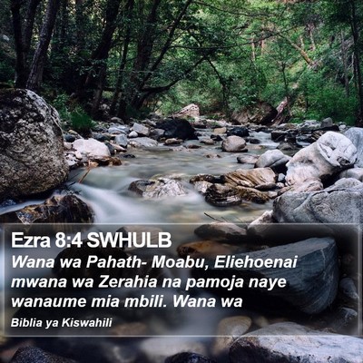 Ezra 8:4 SWHULB Bible Verse Image